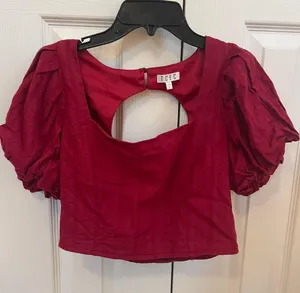TCEC Boutique Red Cropped Puffy Sleeve Top thumbnail 1