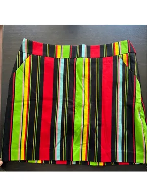 Loudmouth Skort Women's Size 10 Multi-color Striped Golf thumbnail 2