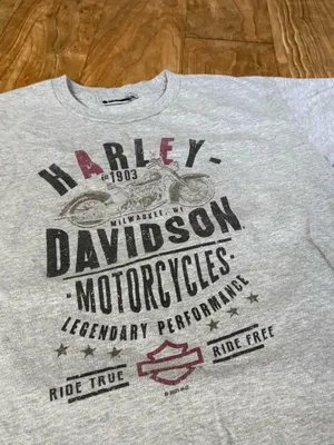 Harley-Davidson Light Gray Short Sleeve Logo Tee with Maroon Accents thumbnail 2