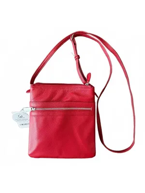Giani Bernini NEW Genuine Leather Crossbody Purse Red Old Money Quiet Luxury Bag thumbnail 2