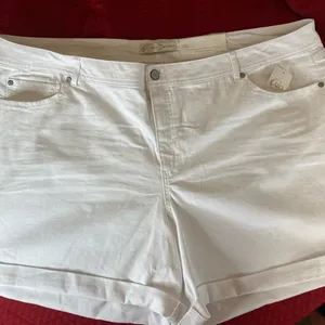 Cato Plus Size: 28W White Denim Women's Shorts thumbnail 1