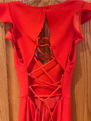 Hello Molly Take the Reigns V-Neck Lace-Up Back Ruffle Mini Dress Size XS 2 thumbnail 15