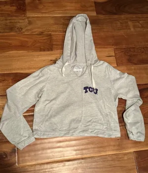 TCU cropped hoodie Gray thumbnail 1