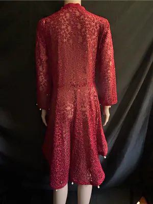 Embroidered Red Lace Fit-and-Flare Women's Dress MD thumbnail 2