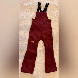 NEW The North Face Freedom Insulated Bib Snow Pants sumac sz XL thumbnail 4