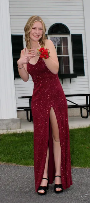 Windsor Red Dress thumbnail 1