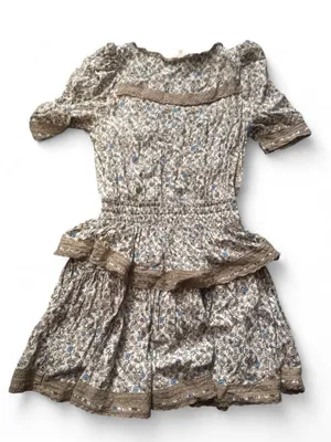 Olivaceous Beige and Blue Floral Prairie Costume Dress thumbnail 3