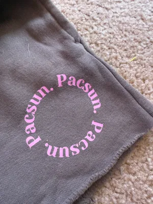 PacSun Shorts thumbnail 2