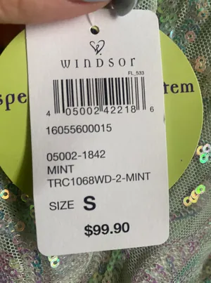 Windsor Prom Dress thumbnail 4