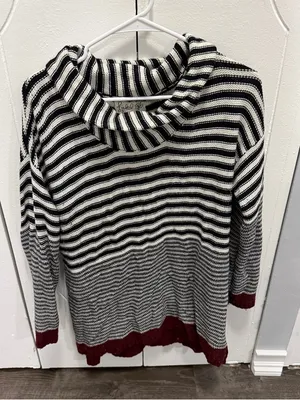Anthropologie Field Flower Black and White Striped Turtleneck Sweater thumbnail 1
