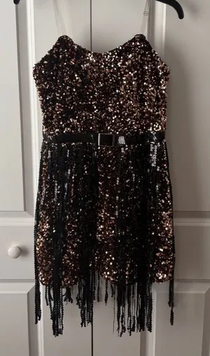 Blue B Sequin Fringe Party Dress Bronze & Black Flapper Party Costume Retro thumbnail 1