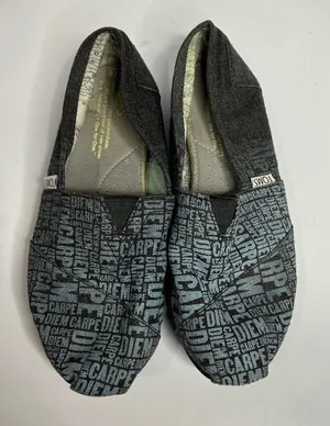 Toms Carpenter Diem canvas slip‎ on shoes size 6 thumbnail 1