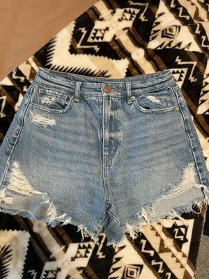 American Eagle Outfitters Shorts thumbnail 5