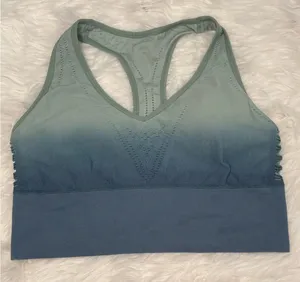 PINK Victoria's Secret Blue Ombre Sports Bra Size XL thumbnail 1