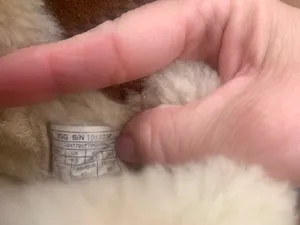 UGG Boots thumbnail 6