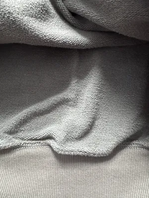 Aerie Sage, green, oversized, heavy duty crewneck thumbnail 2