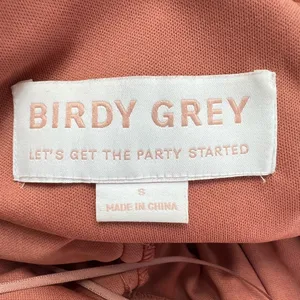 Birdy Grey Laurie Empire Bridesmaid‎ Formal Dress in Terracotta thumbnail 8