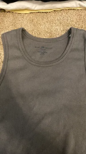 Brandy Melville Tank Top Grey Ribbed Crop thumbnail 4