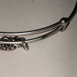 Alex and Ani Silver Tone Ladybug Charm Bracelet thumbnail 6