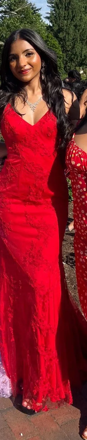 Stacees Red Prom Dress thumbnail 3