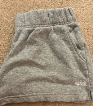 North Face Sweat Shorts thumbnail 4