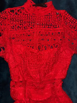 Hello Molly Red Lace Mini Dress thumbnail 3