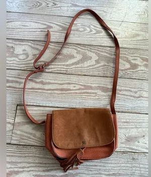 American Eagle Crossbody thumbnail 1