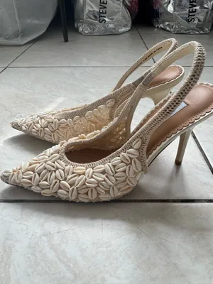 Steve Madden ANDROMEDA shell cream multi  thumbnail 4