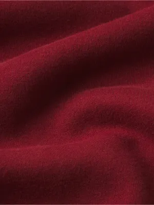 Skims (Gar) Cotton Fleece Classic Pullover Hoodie (8365) | Merlot | Size Small thumbnail 6