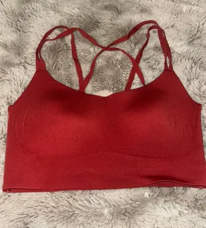 OFFLINE by Aerie Sports Bra thumbnail 1