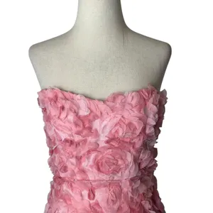 Angel Biba Blanca Mini Dress Women XS Pink NWT 3D Floral Sweetheart Bodycon thumbnail 4