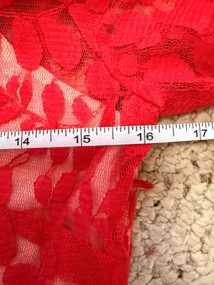 Free People‎ Brick Red Lace Dress NWT Boho Fit Flare festival thumbnail 6