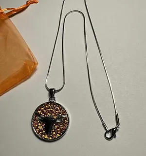 Rhinestone Texas Longhorn Round Pendant Silver Tone Chain Necklace NWOT thumbnail 3