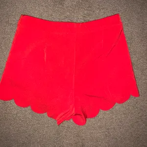Francesca's Shorts thumbnail 2