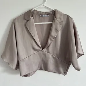 Zara Neutral Taupe Satin Cropped V-Neck Blouse thumbnail 1