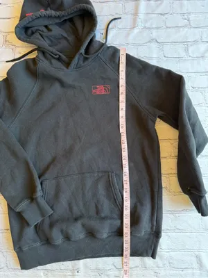 The North Face Womens Medium Hoodie Sweatshirt Rainbow Logo Spell Out EUC Pride thumbnail 7