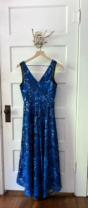 Badgley Mischka Wedding Guest Dress thumbnail 3