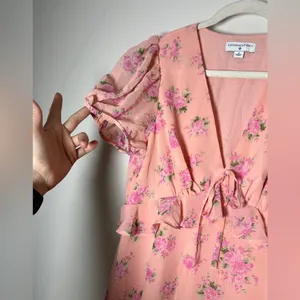 LoveShackFancy x Target Fleur Dress EUC Sz 8 thumbnail 5