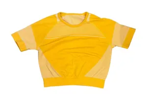 Athletic Mesh Panel Crop Top in Vibrant Yellow thumbnail 1