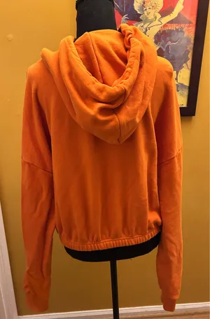 Forever 21 X Airwalk Collab Orange Cropped Hoodie Size XL thumbnail 3