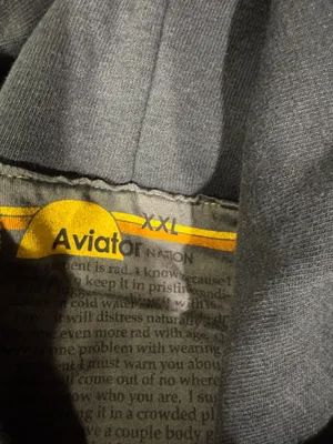 Aviator Nation Relaxed Pullover Hoodie thumbnail 8