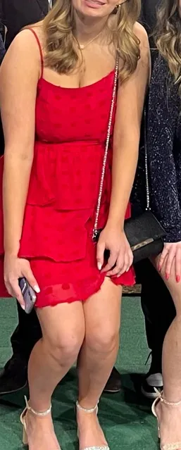 Francesca's Dress thumbnail 1