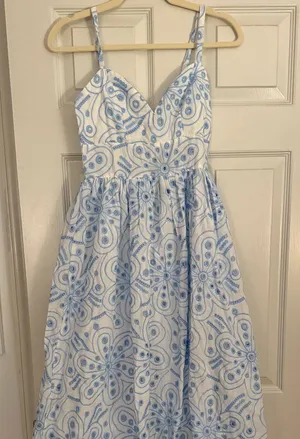 Blue and White Midi Eyelet Dress thumbnail 1