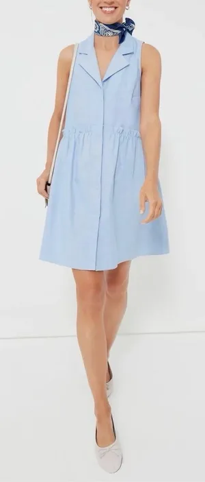 Tuckernuck Oxford Blue Sleeveless Royal Shirt Dress Size xs Ruffles Pockets thumbnail 1
