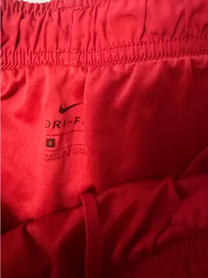 Nike Dri-Fit Shorts thumbnail 2