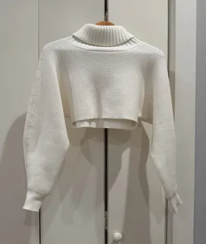 Sky to Moon Cropped Sweater  thumbnail 1