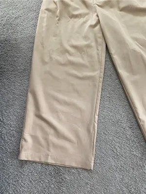 NWOT HYFVE Tan Pleated Wideleg White Waistband Trousers thumbnail 3
