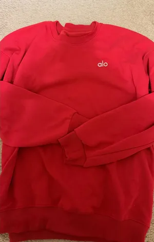 alo sweater  thumbnail 1
