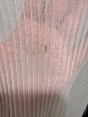 Vintage 1950s Rhythm Lingerie Sheer Pleated Lace Nightgown 34 thumbnail 9
