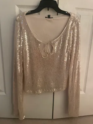 Wild Fable Long Sleeve Sequin Top thumbnail 1
